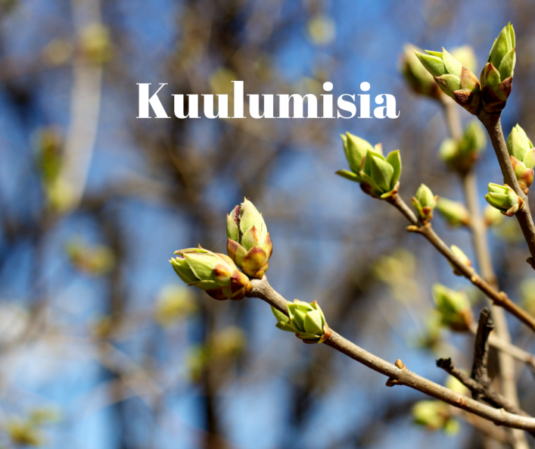 Kuulumisia