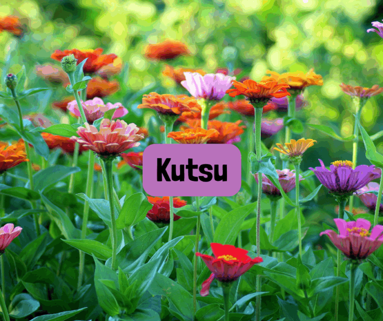 kutsu