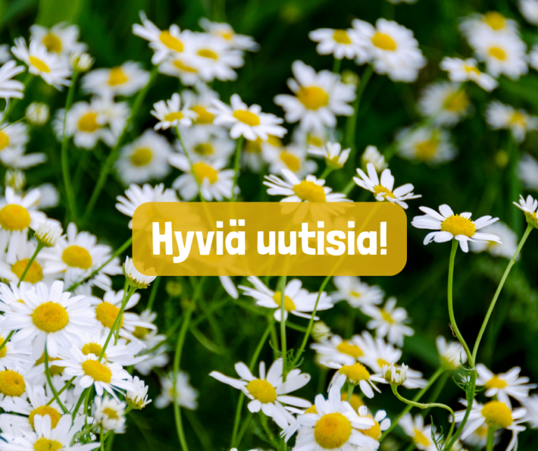 Onnittelut! (4)